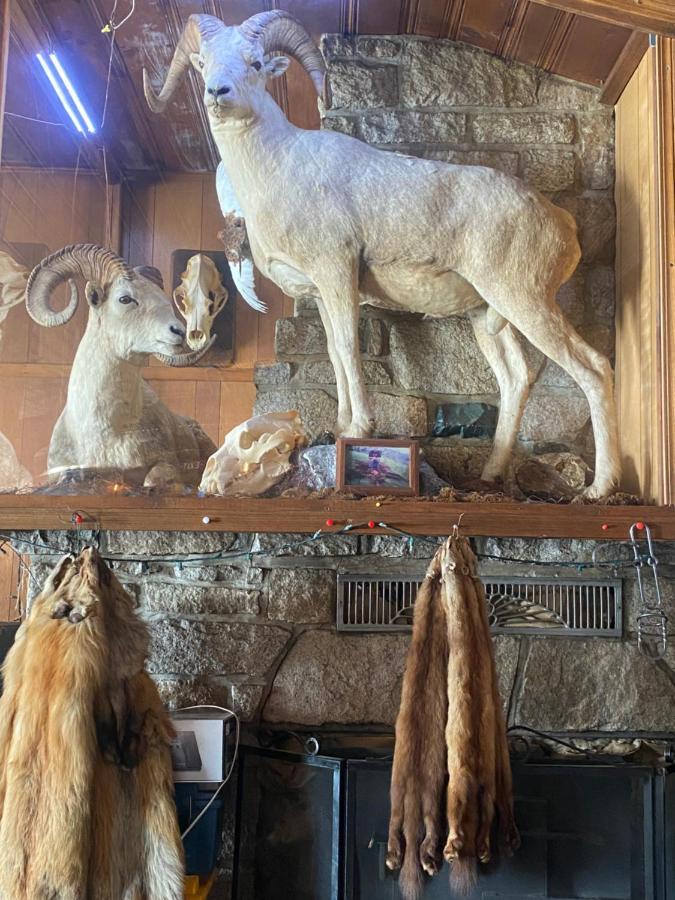 Tolsona Lake Lodge Glennallen Kültér fotó