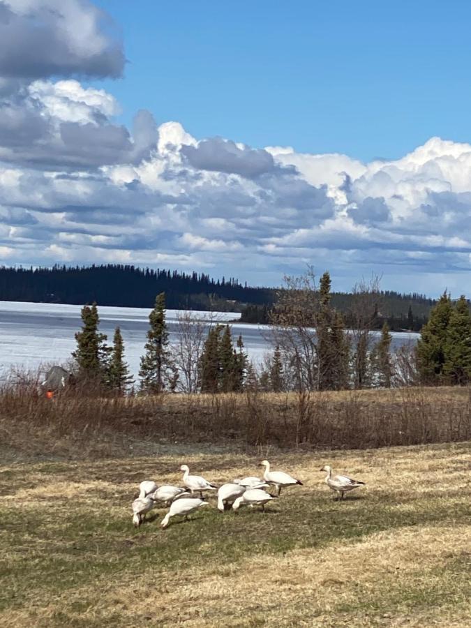 Tolsona Lake Lodge Glennallen Kültér fotó